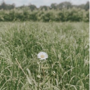 Meet your Posher, Caitlin